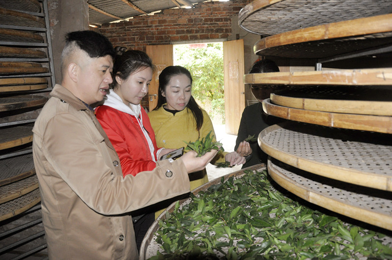 茶艺师培训的核心内容有哪些? 天晟茶艺培训学校